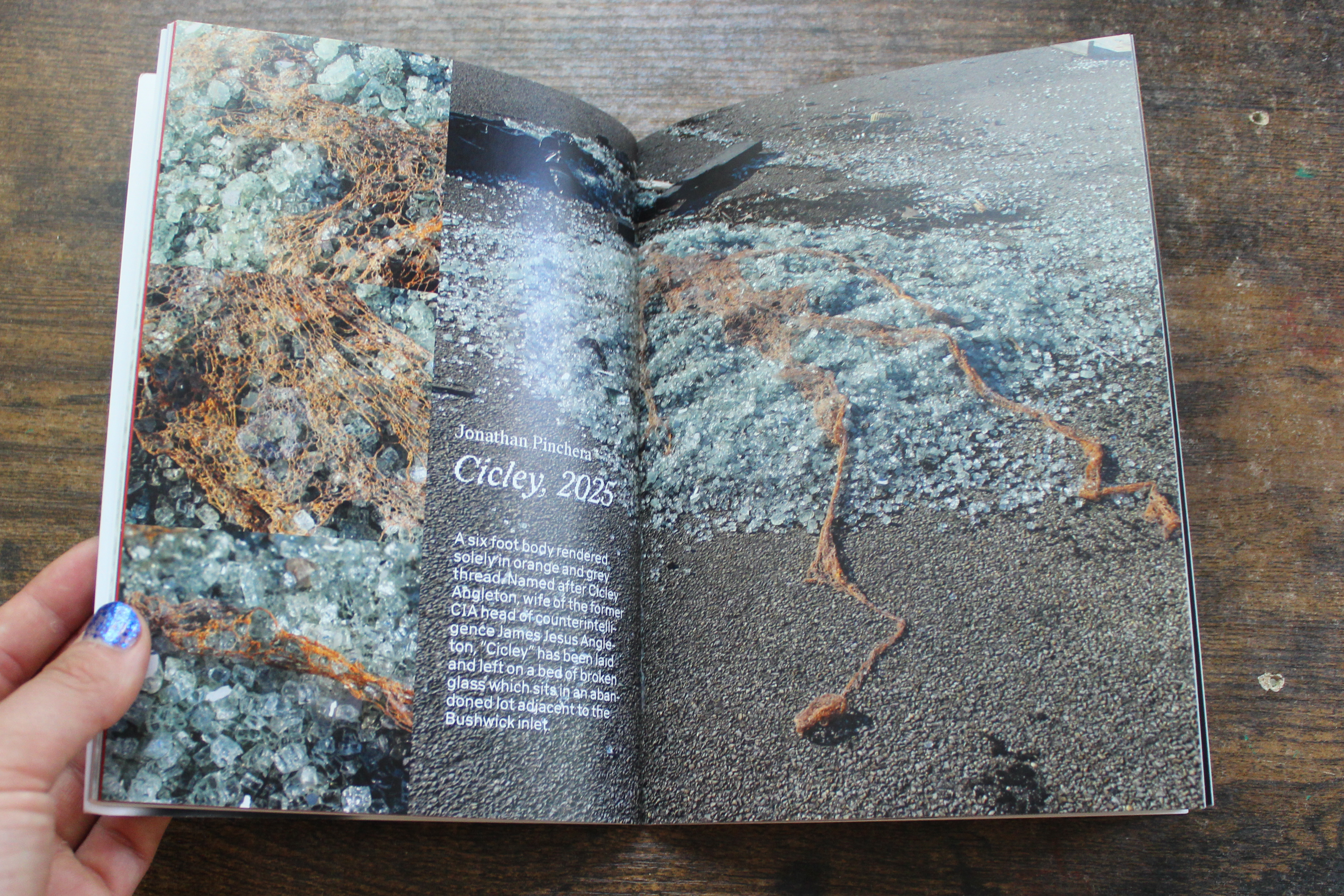 Frog Mag Volume 3